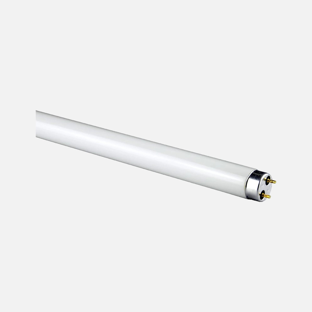 RP Lamp Fluoride - 58W/G13/1500mm/6400K Cool