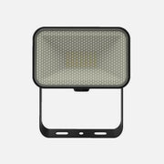 RP Floodlight Flexi LED-50W/230V/6500K