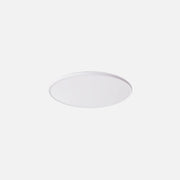 RP Ceiling Light with hanging option - Round With PC Cover/Φ300mm/24W/3CCT/White
