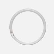 AD Circular Fluorescent Lamp T9 - 22W/220V/6500K/G10Q/865