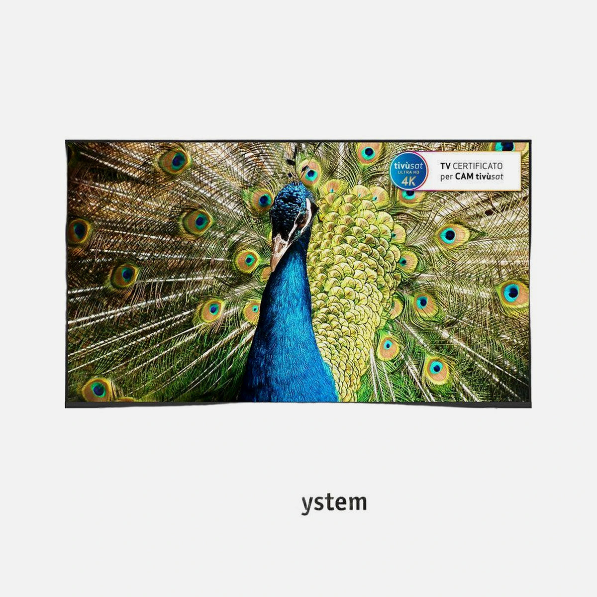 TELE System TS55FL4K-SMV14 Smart 4K LED TV 55"