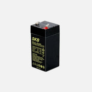 SKB SK4 Sealed Lead Acid Battery 4V 4.5Ah