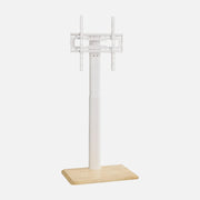 Techly ICA-TR404 – TV Floor Stand 24"–55", VESA 400×400, 30kg, 30° Swivel, Wheels