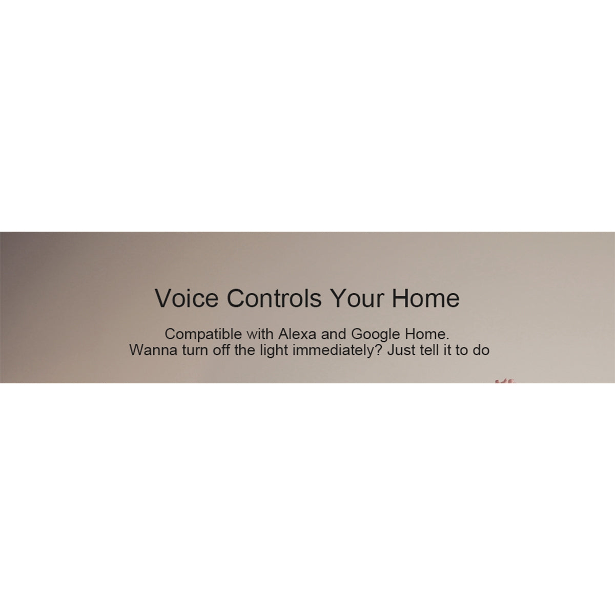 Other Smart Home Hubs — View 11